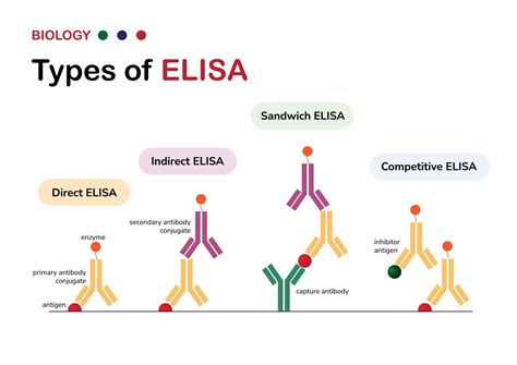 elisa m365|ELISA .